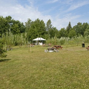 A Unique Resting Place on the Aizpute Side A Unique Resting Place on the Aizpute Side