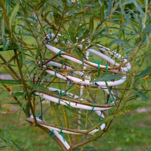 Pītie stādi, Meža dizaina dārzs Pītie stādi, Meža dizaina dārzs