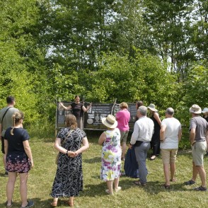 Excursions in Furniture Growing, Forest Designed Excursions in Furniture Growing, Forest Designed