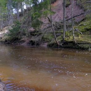 Viesata pavasarī Viesata pavasarī