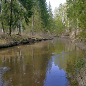 Dabas un izziņas taka Viesatas upesloki Dabas un izziņas taka Viesatas upesloki