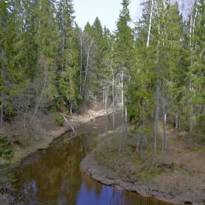 Viesatas upesloku taka pavasarī Viesatas upesloku taka pavasarī