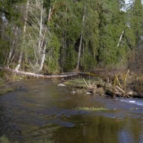 Viesatas upesloku dabas taka Viesatas upesloku dabas taka