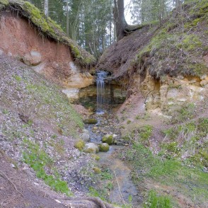 Omiķu grava pavasarī Omiķu grava pavasarī