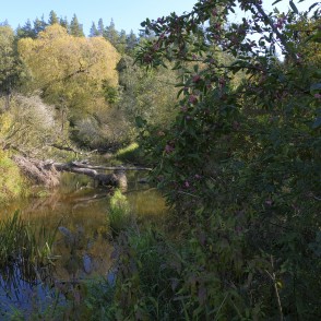 Svēte pie Vilces ietekas Svēte pie Vilces ietekas