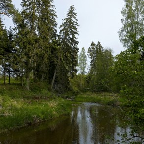 Viesatas upe Viesatas upe