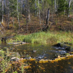 Vitrupes ieleja pie Ķirbižiem Vitrupes ieleja pie Ķirbižiem