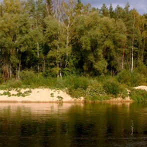 Gaujas panorāma pie Līgatnes Gaujas panorāma pie Līgatnes