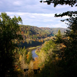 Skats uz Gauju, Siguldā Skats uz Gauju, Siguldā