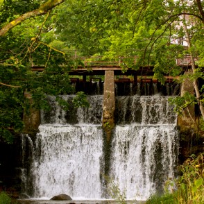 Alekšupīte vasarā Alekšupīte vasarā