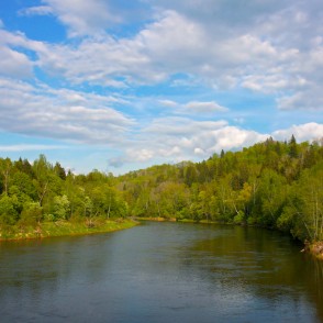 Gauja pie Siguldas Gauja pie Siguldas