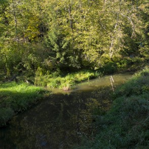 Rukūzes ieteka Vilcē Rukūzes ieteka Vilcē