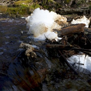 Putas uz ūdens pie Virsaišu ūdenskrituma Putas uz ūdens pie Virsaišu ūdenskrituma