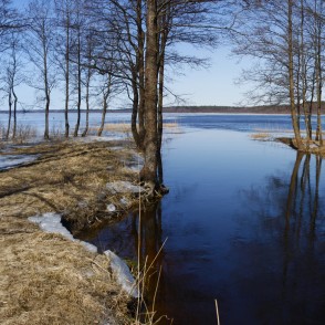 Engures ieteka Puzes ezerā Engures ieteka Puzes ezerā