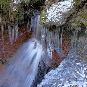 Lāstekas pie Zārtapu ūdenskrituma Lāstekas pie Zārtapu ūdenskrituma