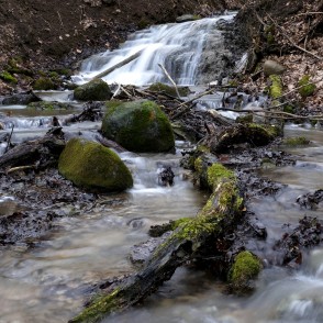 Saules ūdenskritums februāra atkusnī Saules ūdenskritums februāra atkusnī