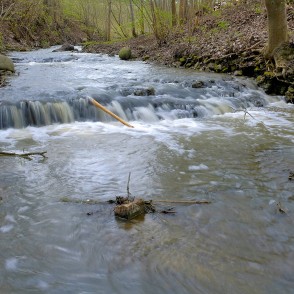 Bukupes ūdenskritums pavasarī Bukupes ūdenskritums pavasarī