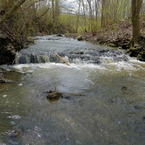 Bukupes ūdenskritums Bukupes ūdenskritums