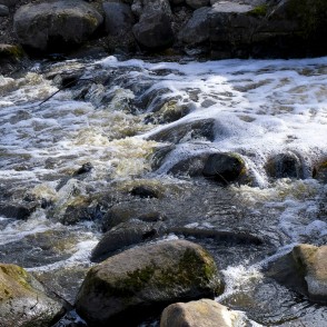 Mārupīte lejpus ūdenskritumam Arkādijas parkā Mārupīte lejpus ūdenskritumam Arkādijas parkā