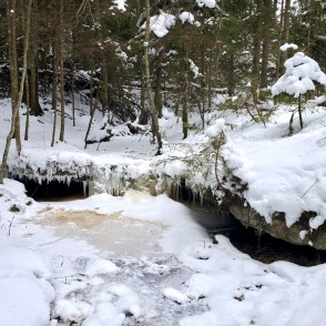 Aizsalis Oļupītes ūdenskritums meža gravā ziemā Aizsalis Oļupītes ūdenskritums meža gravā ziemā