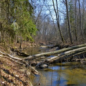 Vilces upe Vilces gravā Vilces upe Vilces gravā