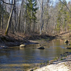 Vilces upe Vilces gravā Vilces upe Vilces gravā