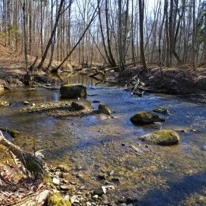 Vilces upe Vilces gravā Vilces upe Vilces gravā