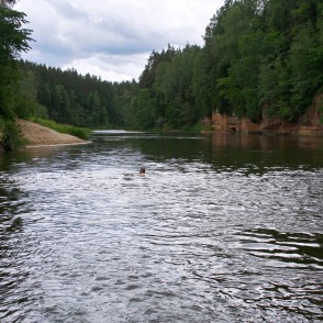 Gauja pie Ķūķu klintīm Gauja pie Ķūķu klintīm