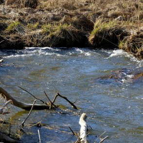 Vilce pārvar šķēršļus Vilce pārvar šķēršļus