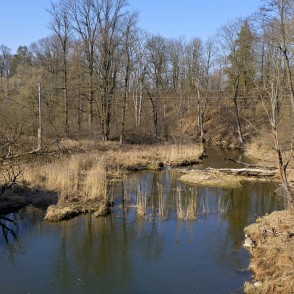 Vilce pie Vilces ūdensdzirnavām Vilce pie Vilces ūdensdzirnavām