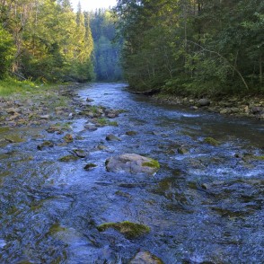 Amata pie Vizuļu ieža Amata pie Vizuļu ieža