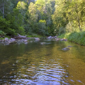 Amata Incēnu kraujas tuvumā Amata Incēnu kraujas tuvumā