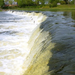 Ventas rumba un lecošas Vimbas Ventas rumba un lecošas Vimbas