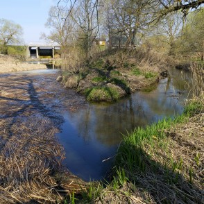 Skujaines ieteka Tērvetē Skujaines ieteka Tērvetē