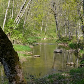 Vilces upe Vilces dabas parkā Vilces upe Vilces dabas parkā