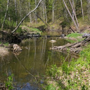 Vilces tecējums cauri Vilces gravas mežiem Vilces tecējums cauri Vilces gravas mežiem