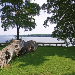 Daugava pie Lielvārdes Daugava pie Lielvārdes