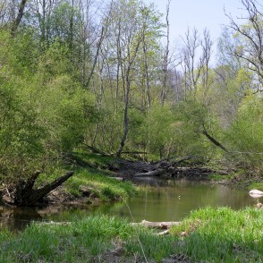 Vilces tecējums cauri Vilces dabas parka mežiem Vilces tecējums cauri Vilces dabas parka mežiem