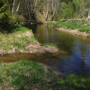 Rukūzes ieteka Vilcē pie Vilces pilskalna Rukūzes ieteka Vilcē pie Vilces pilskalna
