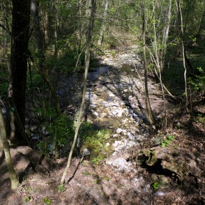 Izžuvušais Rukūzes ūdeņu varenums Izžuvušais Rukūzes ūdeņu varenums
