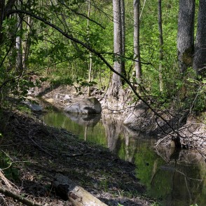 Rukūze Vilces dabas parkā Rukūze Vilces dabas parkā