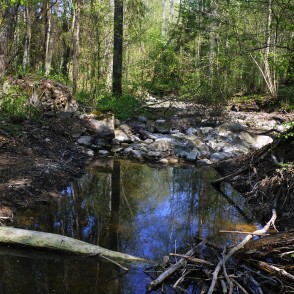 Akmeņainā Rukūzes gultne pie Rukūzes dabas takas Vilces dabas parkā Akmeņainā Rukūzes gultne pie Rukūzes dabas takas Vilces dabas parkā