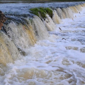 Kuldīgā lec zivis, Ventas rumba Kuldīgā lec zivis, Ventas rumba