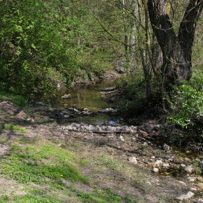 Rukūze pie Birzsargiem un Pārupēm Rukūze pie Birzsargiem un Pārupēm