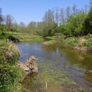 Vilce pavasarī Vilces dabas parkā Vilce pavasarī Vilces dabas parkā
