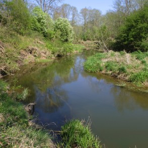 Vilces krasti pavasarī Vilces krasti pavasarī