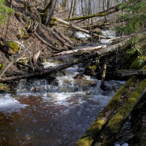 Glāžšķūņa garais ūdenskritums Glāžšķūņa garais ūdenskritums