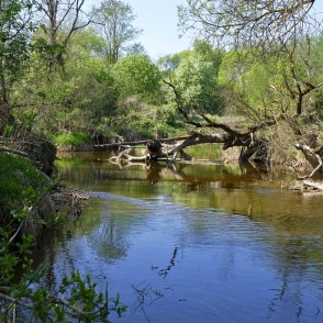 Svēte lejpus Vilces ietekas Svēte lejpus Vilces ietekas