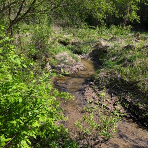 Igate nedaudz pirms ietekas Vilcē Igate nedaudz pirms ietekas Vilcē