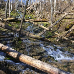 Kalnabeitu avotu daudzpakāpju ūdenskritums Kalnabeitu avotu daudzpakāpju ūdenskritums